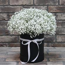Цветочная композиция из Гипсофила в шляпной коробке в Старожилово