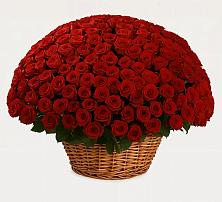 Премиум букет из: Розы в Старожилово