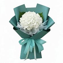 Букет цветов из:  Гортензия #REPLACE_PRED# Старожилово